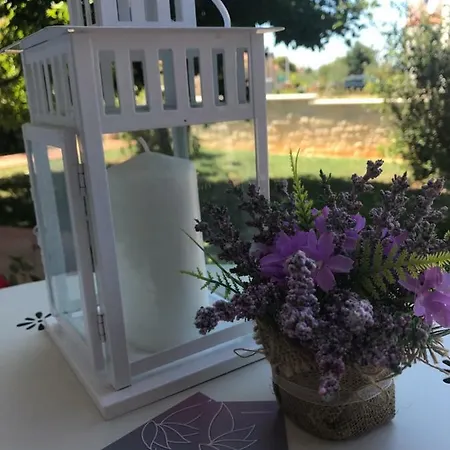 Apartment Appartman Iva Porec