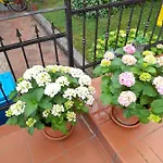 Appartman Iva * Пореч