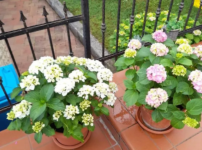 Appartman Iva * Porec