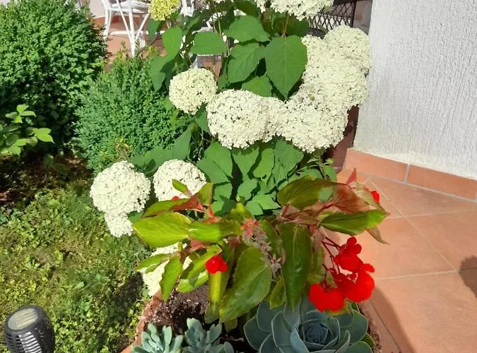 Appartman Iva Apartman Poreč