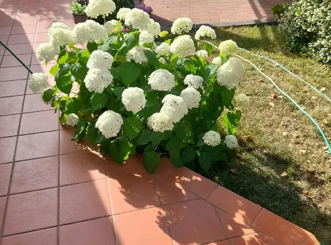 Appartman Iva Apartman *