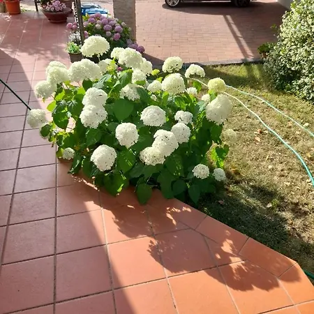 Appartman Iva Apartmán *